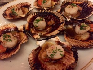 scallops